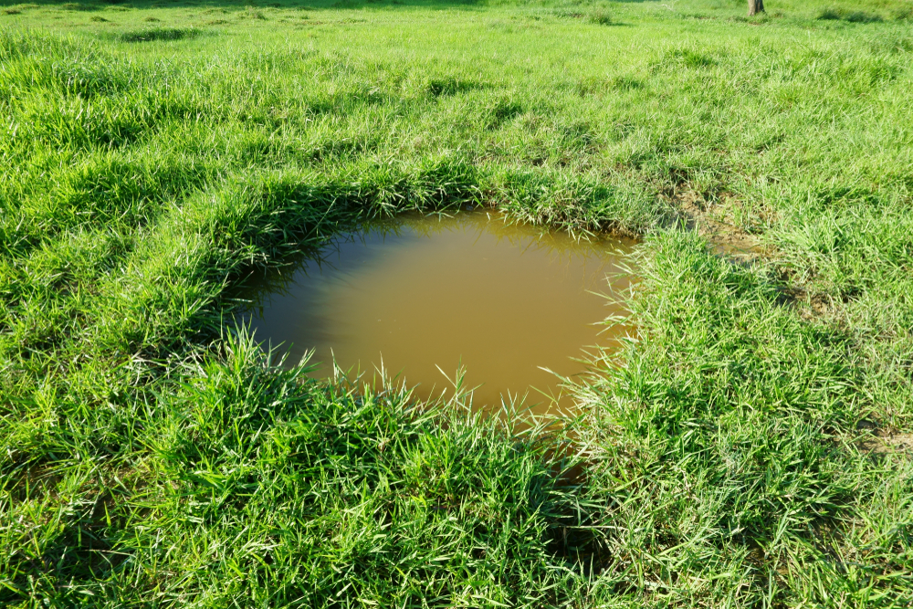 What You Get from Professional Septic Repair in Lake Stevens