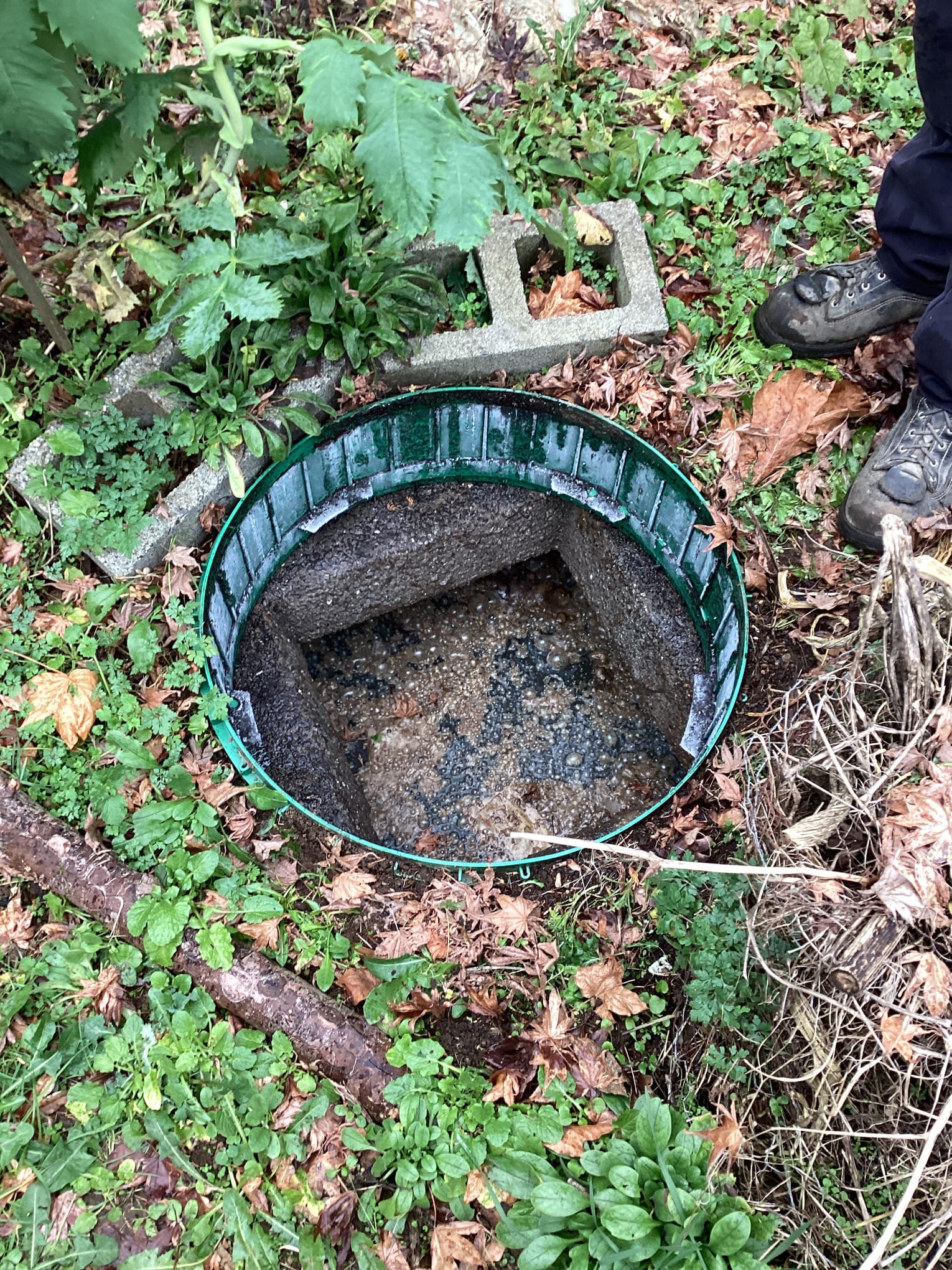Ensuring Smooth Operations: The Importance of Septic Repair in Monroe