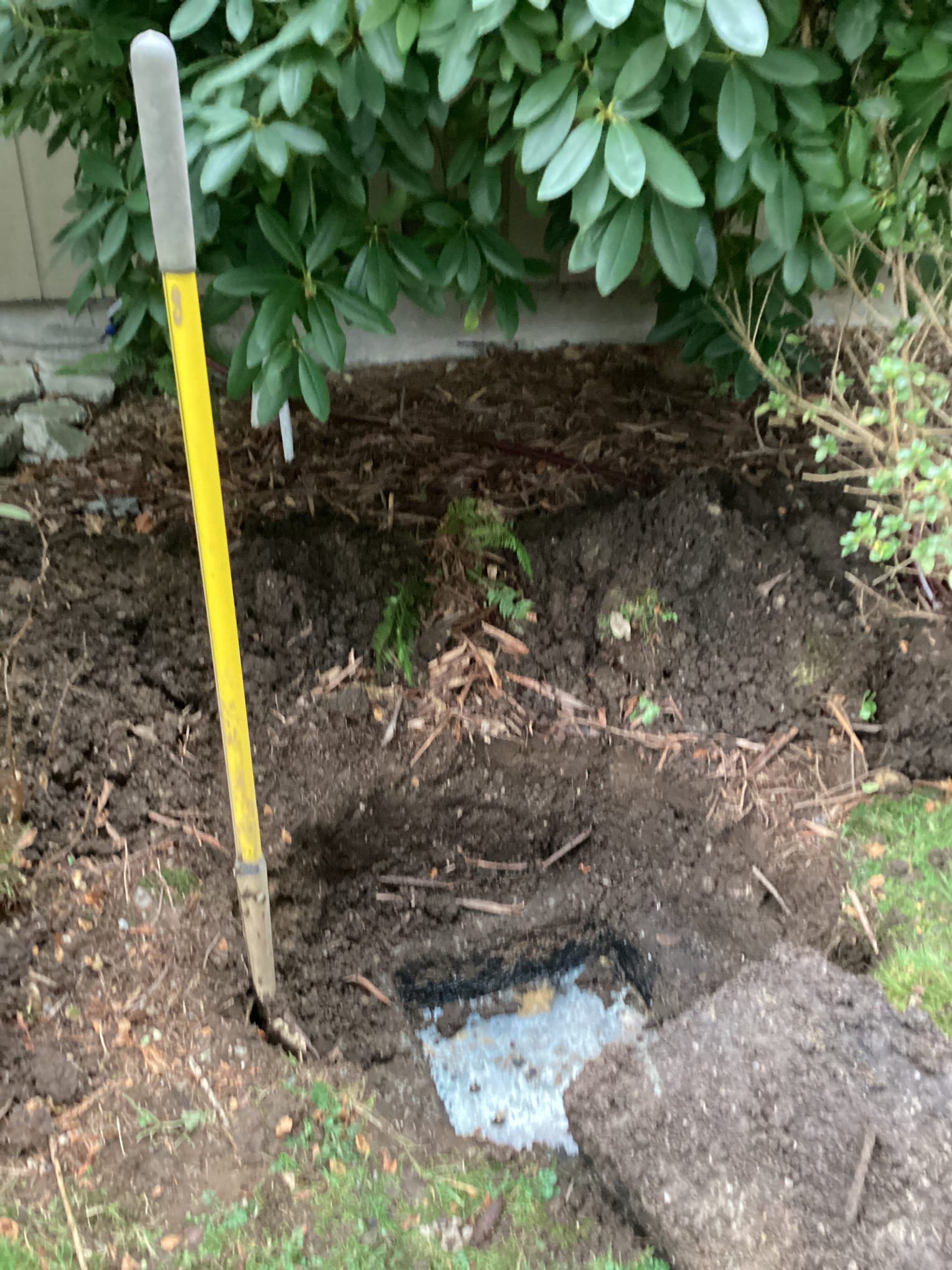 Your Guide to Septic Pumping in Everett
